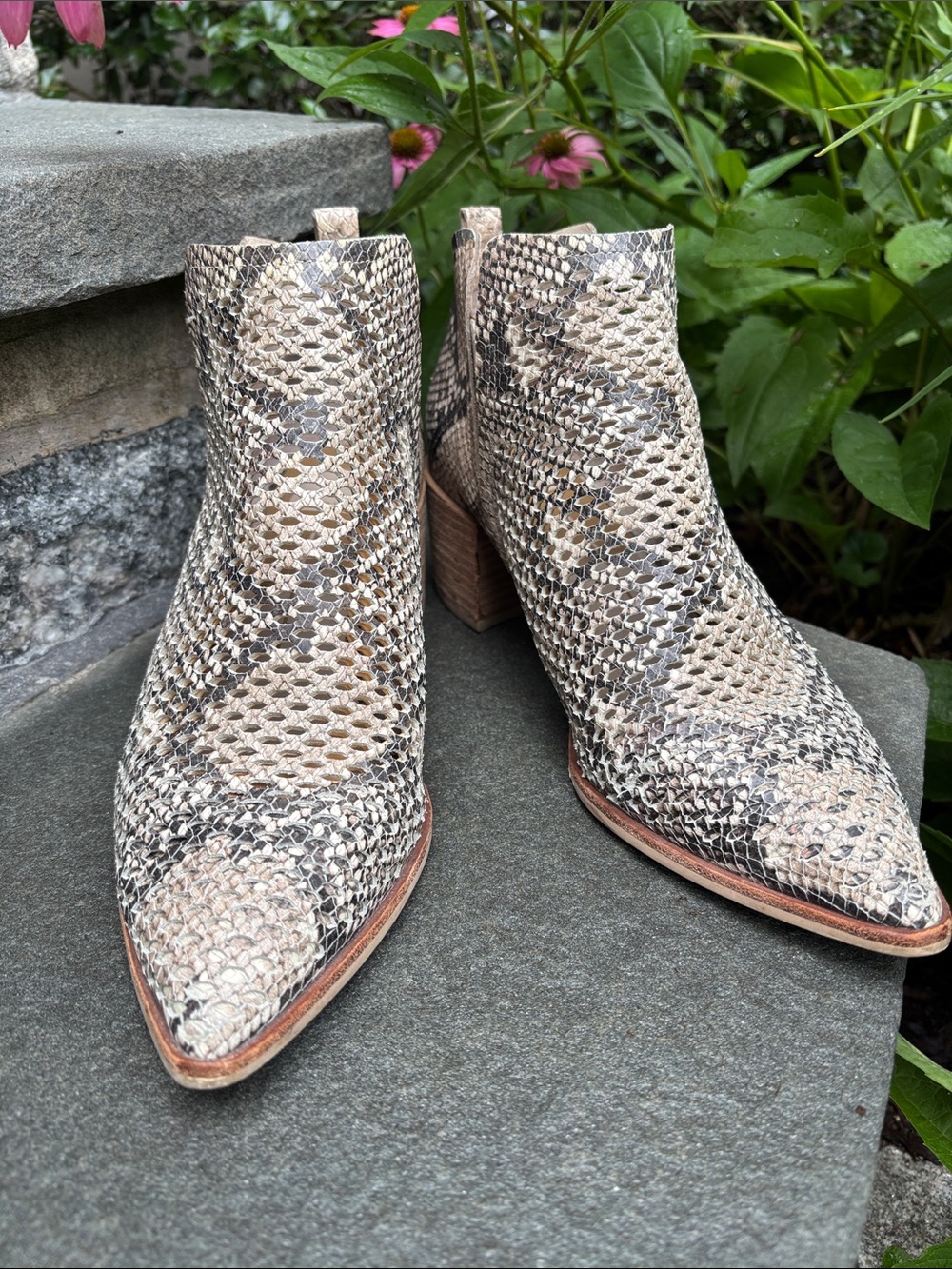 Dolce Vita Bianca Perforated Leather Booties